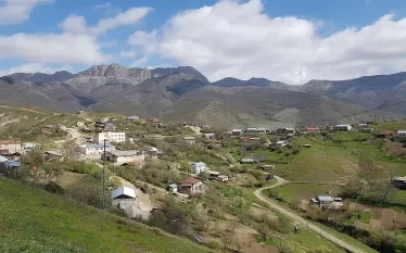 կդդգ