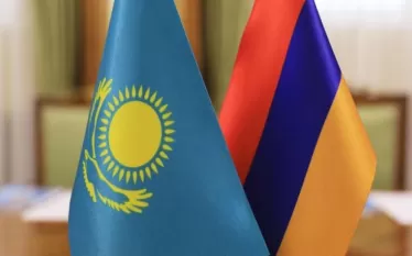 դվս