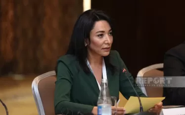 Հայաստանում ադրբեջանական բանակի զինծառայողի ցմահ ազատազրկումը հակասում է միջազգային իրավունքին. Սաբինա Ալիևա