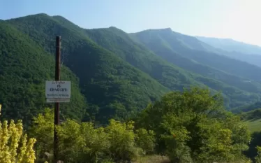 Հետք