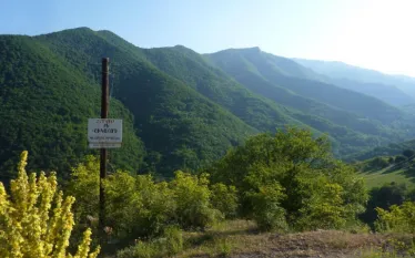 Շիկահողի արգելոցում ադրբեջանական անտառահատումների փաստով քրեական գործ չի հարուցվել