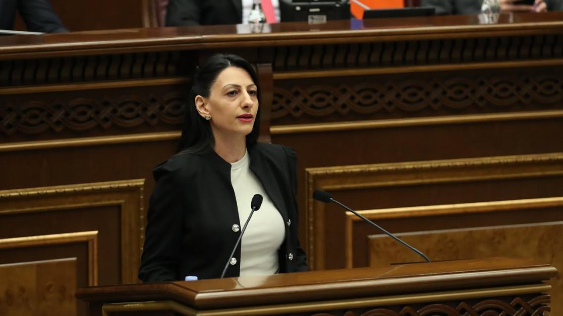Գերեվարված 2 հայ զինծառայողների մասին տեղեկություն ենք փոխանցել միջազգային կառույցներին. ՀՀ ՄԻՊ