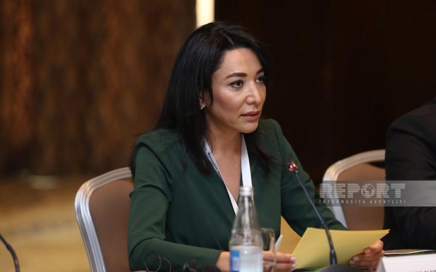 Հայաստանում ադրբեջանական բանակի զինծառայողի ցմահ ազատազրկումը հակասում է միջազգային իրավունքին. Սաբինա Ալիևա