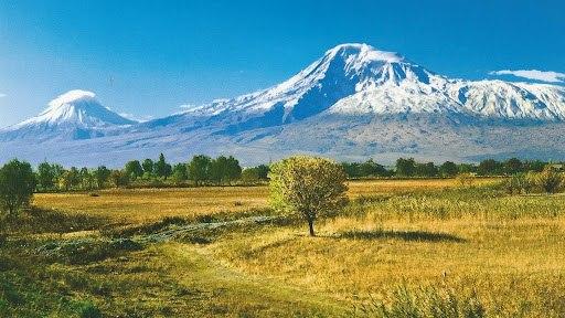 Արարատ