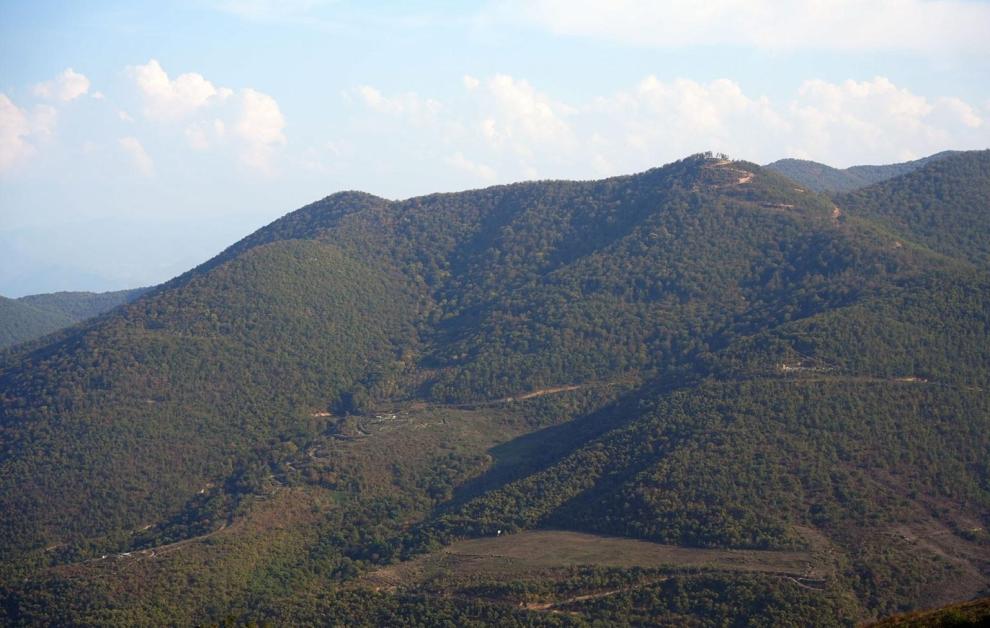 Շիկահող